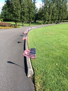 US flags