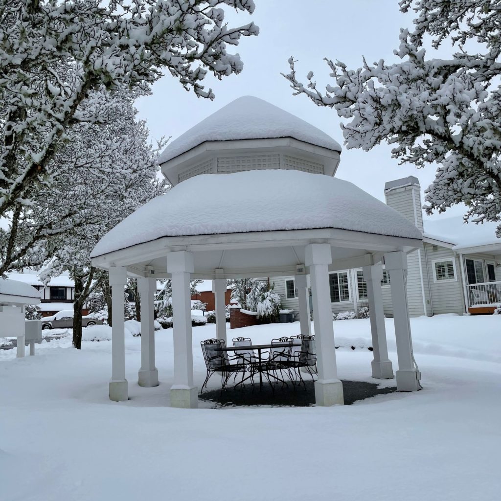 deep snow on gazebo, lawn, and trees