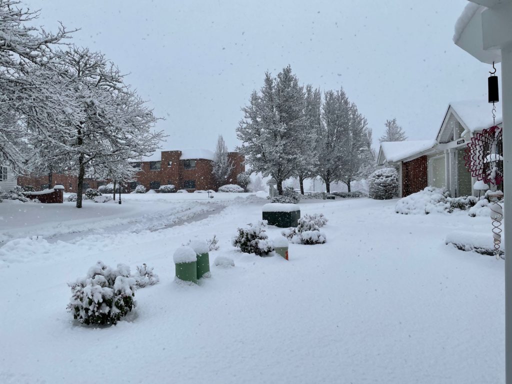 snow falling outside, covering yards and houses