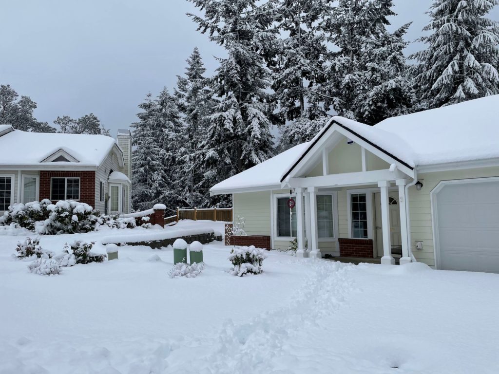 deep snow covering lawns, bushes, trees, and houses