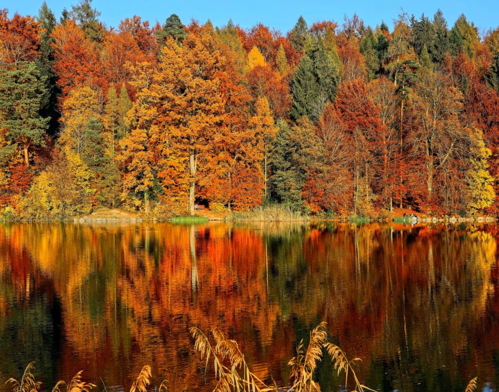 colorful autumn foliage reflected by lake